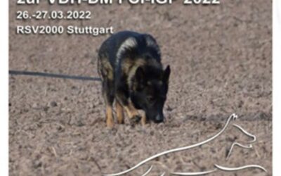 26./27.03.2022 Prüfung + Quali VDH DM FCI-IGP beim RSV2000 Stuttgart