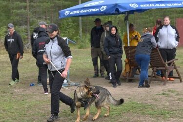 16.07.2022 Sichtung in Ikaalinen/Finnland