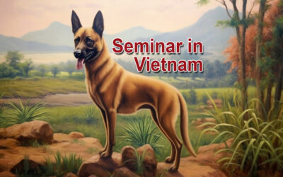 Seminarbericht Vietnam 2023